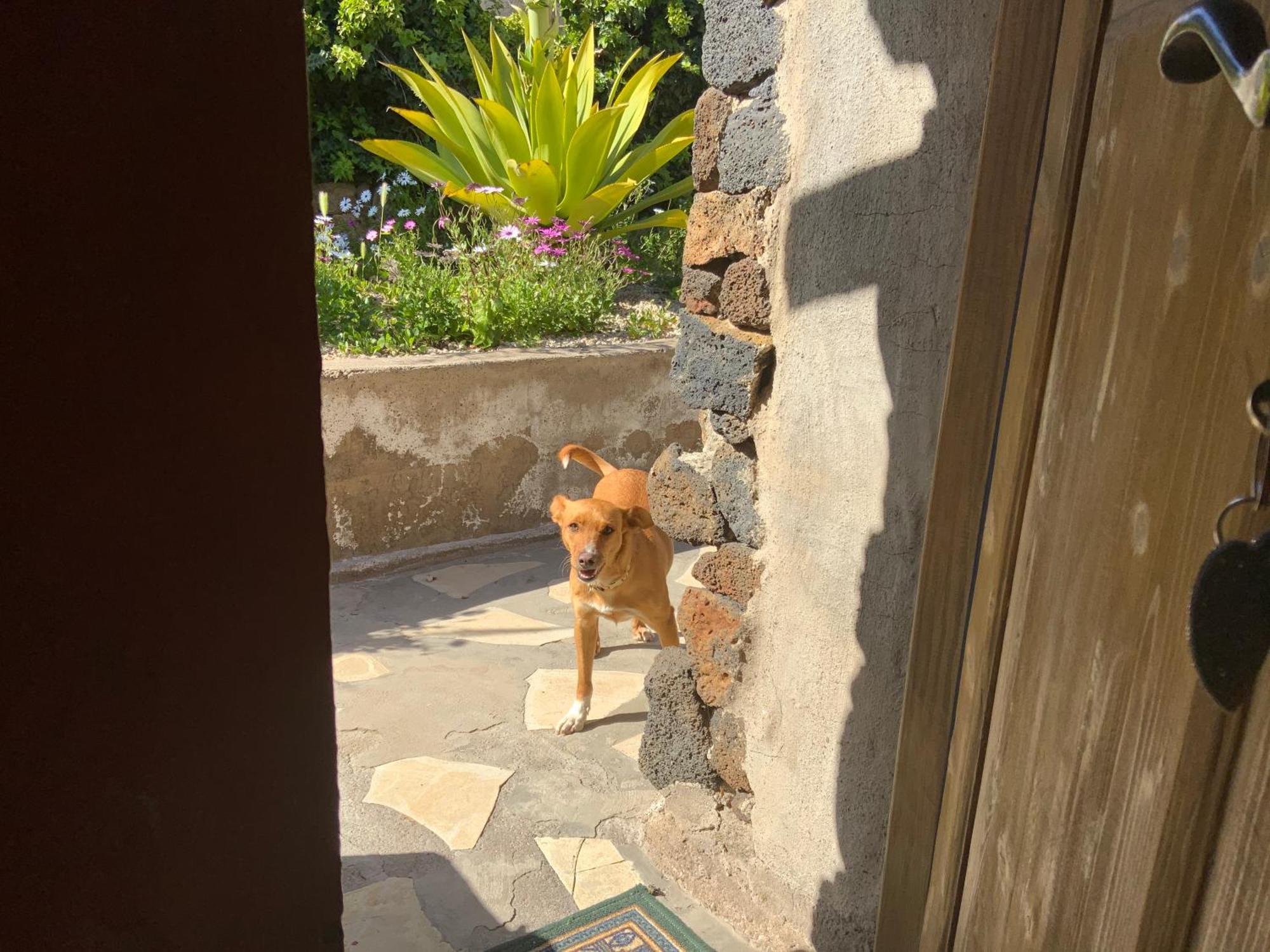 Casas Alberto Teleworking (Adults Only) 圣米格尔德阿沃纳 外观 照片