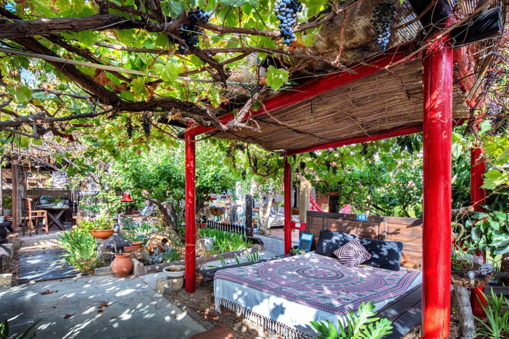 Casas Alberto Teleworking (Adults Only) 圣米格尔德阿沃纳 外观 照片